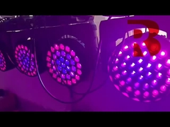 RGBW Zoom Was Big Bee Eyes Nightclub Party Disco DMX Stage Light
