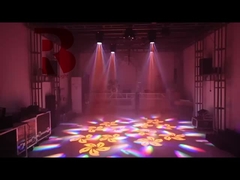 Mini Model Met Prisma RGBW Voor Show 6 bijen ogen licht